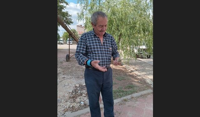 Eskişehir'de zirai don buğday ve arpa üretimini vurdu