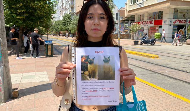 Herkes bayramı kutlarken o sokak sokak kayıp kedisini aradı