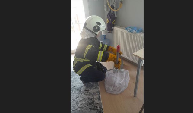 Eve giren yarasa korku yarattı