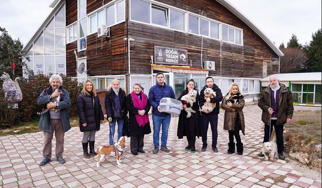 Tepebaşı’nda Yılın İlk Yarısında 289 Patili Dost Sahiplendirildi