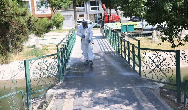 Odunpazarı Belediyesi’nden Keneyle Mücadele