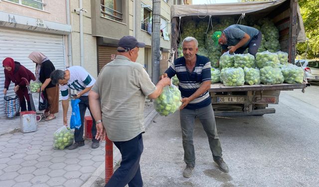5 ton dolma biberi ücretsiz dağıttı