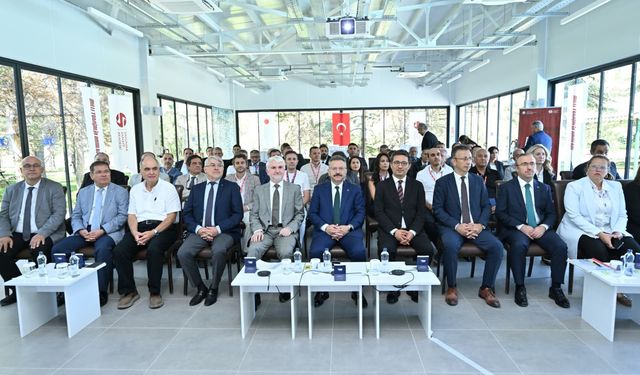 Milli Yetkinlik Hamlesi Projesi 'ELMAS' Programı