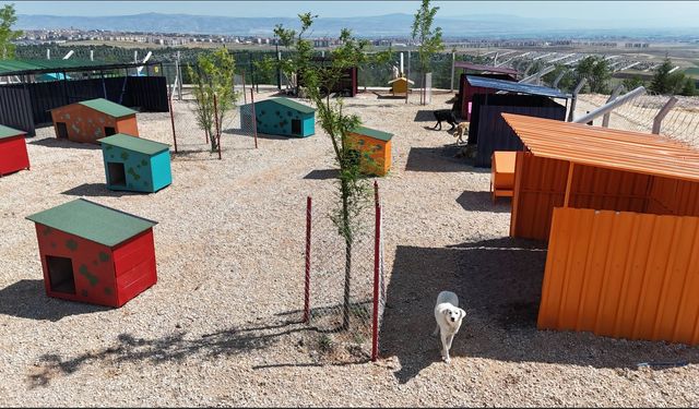 Büyükşehir Belediyesi’nden Can Dostlar İçin Anlamlı Kampanya