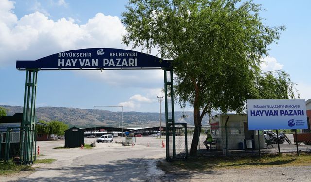 Büyükşehir Hayvan Pazarı Geçici Olarak Kapatıldı