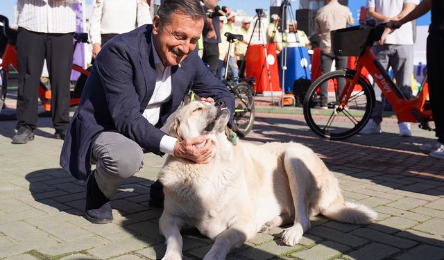 Tüm hayvanlar özgürlük içinde yaşama ve üreme hakkına sahiptir