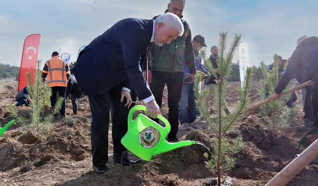 TEI'den 17 bin fidanlık 40. Yıl Hatıra Ormanı