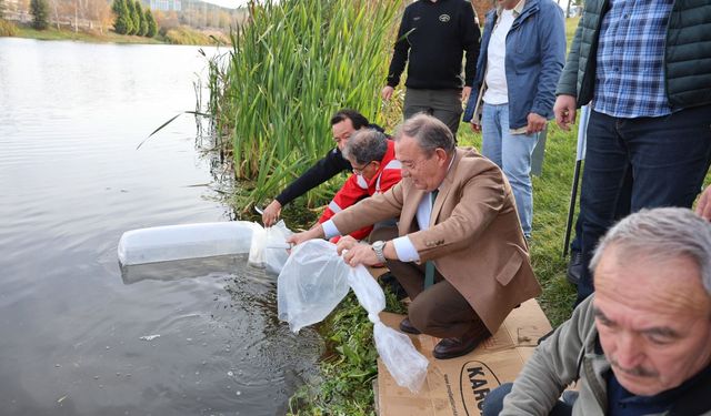5 Bin Aynalı Sazan Doğaya Salındı