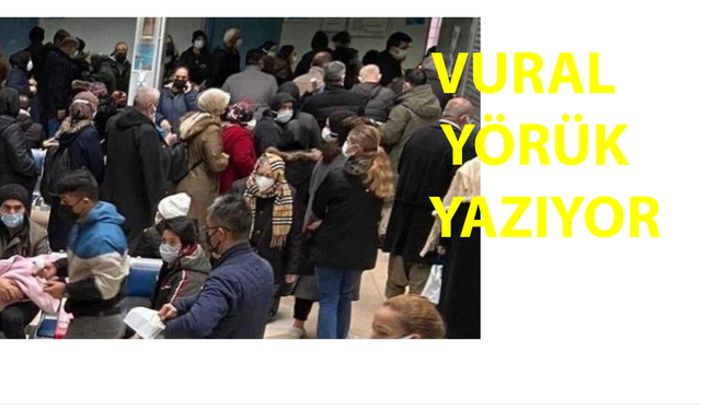 Bina Yap Tören Düzenle Selfie Çek Hizmeti Vatandaş Düşünsün