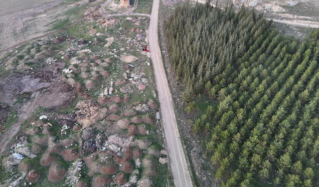 Bir yanda yeşil ağaçlar bir yanda çöp yığınları