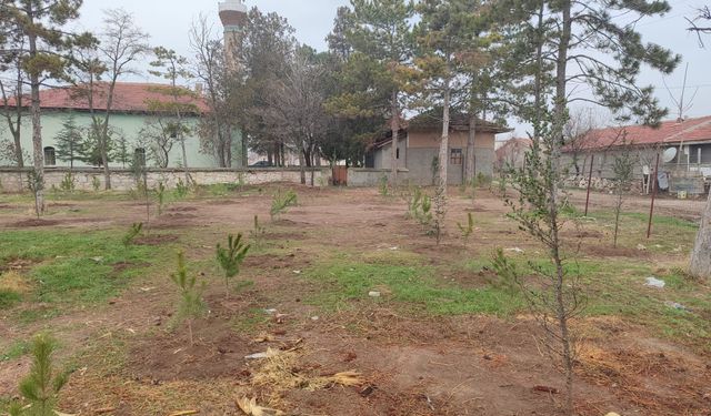 Umraniye köylüleri 300 adet fidanı okul ve camii bahçesine dikti