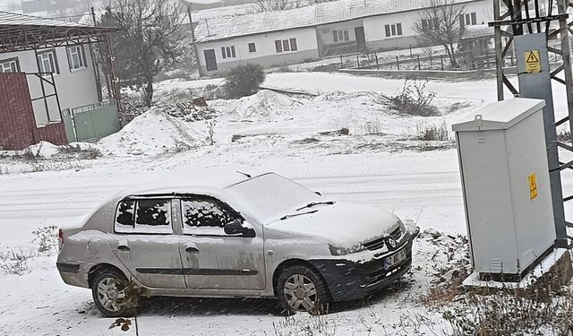 Eskişehir'in kırsalı beyaza büründü
