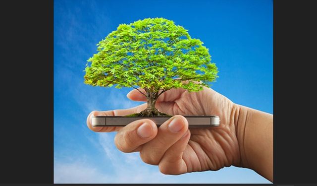 Dijital Abonelik İşlemleri Sayesinde 11 Ayda 295 Ağaç Kurtarıldı