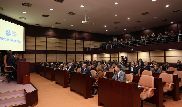 Eskişehir Büyükşehir Belediyesi sahipsiz hayvanlar için mama bağışı alabilecek