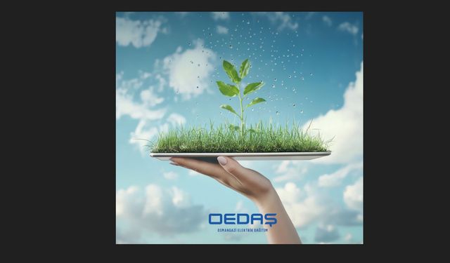 OEDAŞ İklim Değişikliğiyle Mücadelesini Küresel Standartlarda Sürdürüyor