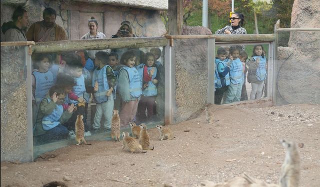 Büyükşehirden 2025’te Doğaya Ve Can Dostlara Tam Destek