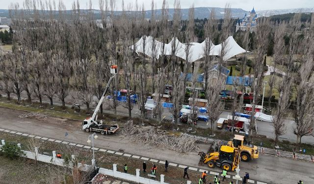Ekolojik Ömrünü Tamamlayan Kavaklar Yerini Çınarlara Bırakıyor