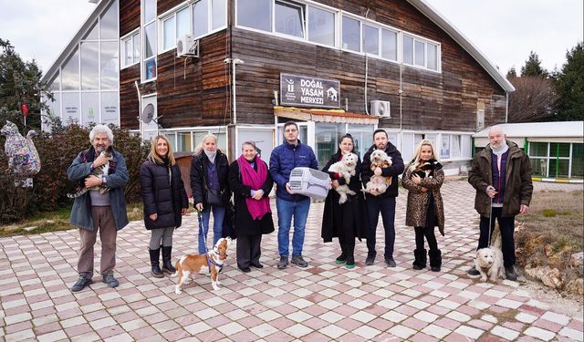 Tepebaşı Patili Canlara Yuva Oluyor Yuva Buluyor