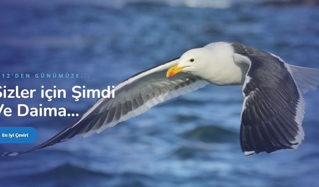 Tek Doğru Veri Kaynağı (Single Source of Truth) Nedir? Kurumsal Kararların Sağlam Zemini