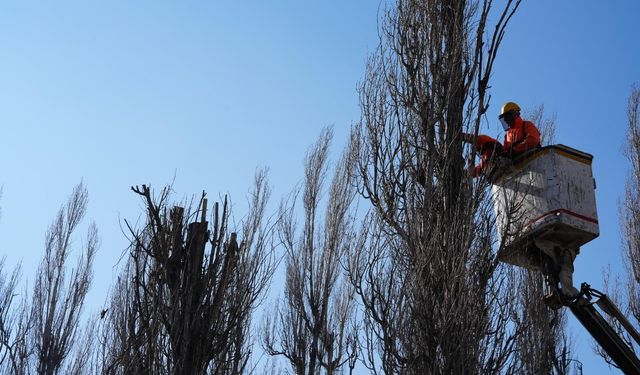Sazova’da Çalışmalar Devam Ediyor