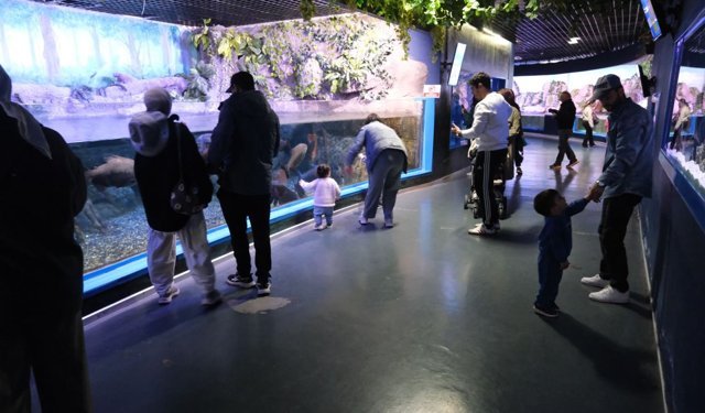 23 Nisan Coşkusu Parklara Ve Sahnelere Taştı