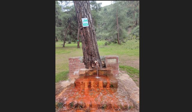 Çeşmeden maden suyu içmek isteyenlerr Laçin’e geliyor