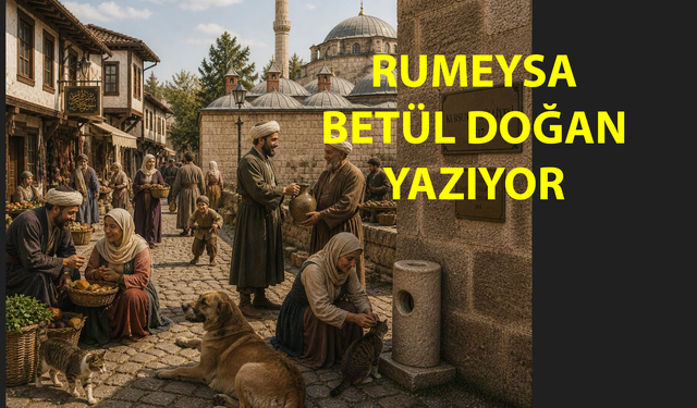 Naif Bir Yardımlaşma Biçimi