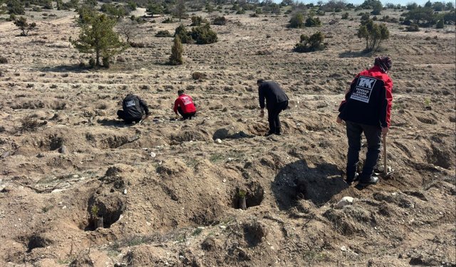 TAK Ekibinden Yörük Akçayır’da Ağaç Dikme Etkinliğine Destek