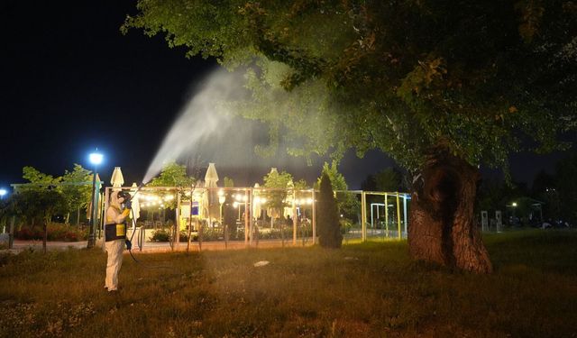 Yağışların Ardından Sinek Ve Kene Mücadelesi 24 Saat Sürüyor