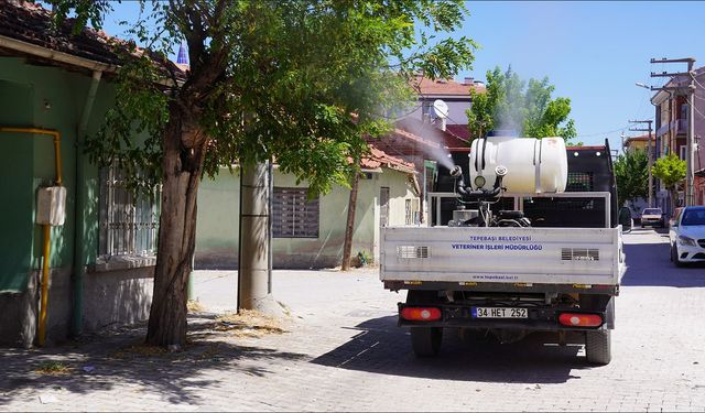 Tepebaşı’da İlaçlama Çalışmaları Aralıksız Sürüyor
