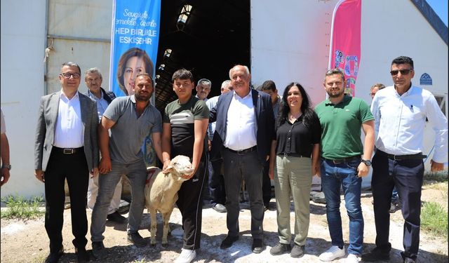 Üreticiye Can Suyu Damızlık Koçlar