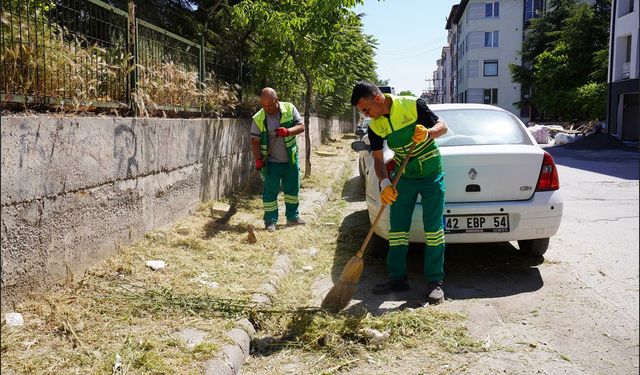 Tepebaşı’nda Yağışların Ardından Kaldırım Otlarına Karşı Temizlik Çalışmaları