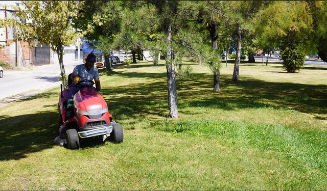 Tepebaşı'nda Çim Biçme Çalışmaları