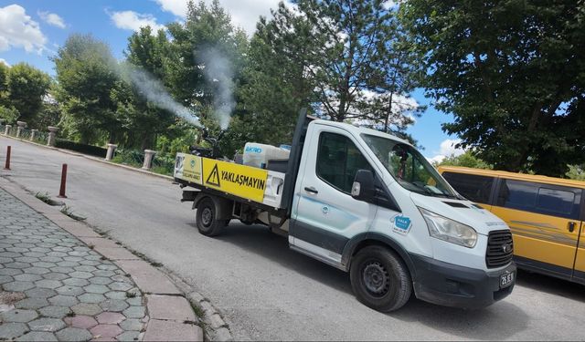 Odunpazarı Belediyesi’nden İlaçlama Çalışmaları