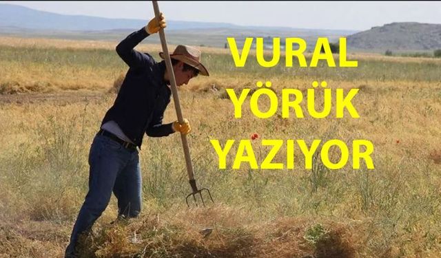 Yerli Ve Milli Diyorlar... Ama Toprak Başka Şey Söylüyor