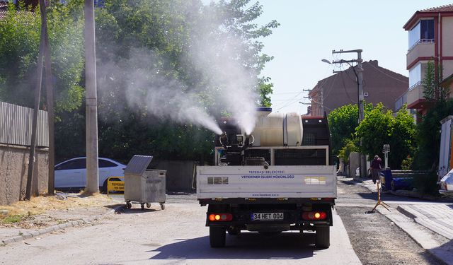 Tepebaşı'nda İlaçlama Mesaisi Aralıksız Sürüyor