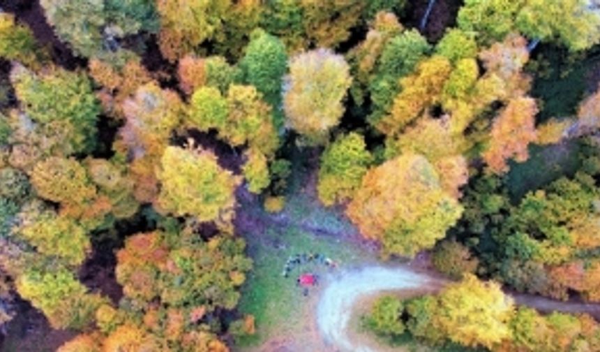 Koyunlu Kanyonu keşfedilmeyi bekliyor