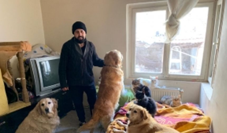 Evinde 40 kedi ve 6 köpekle yaşıyor