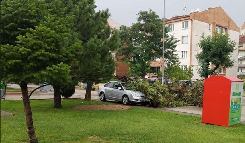 Park halindeki otomobilin üzerine ağaç devrildi