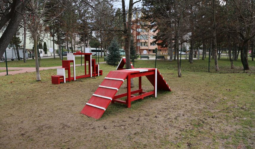 İkinci “Pati Park” Kanlıkavak’ta Açıldı