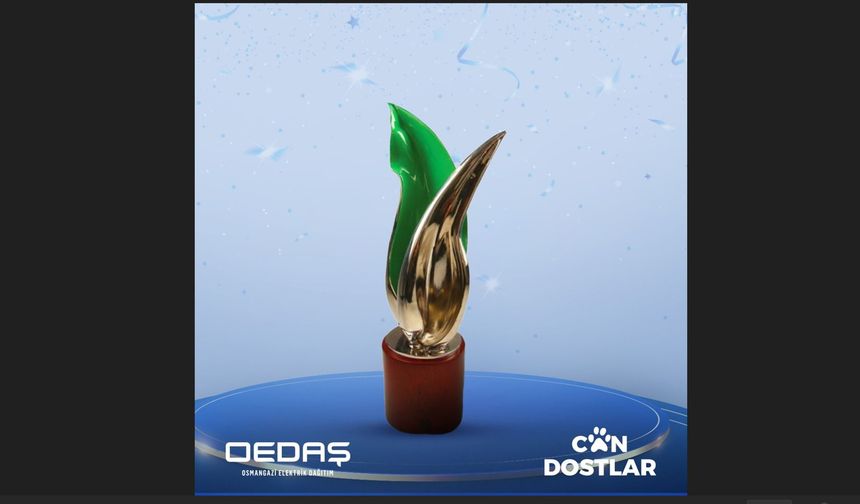 OEDAŞ’ın Can Dostlar projesine uluslararası ödül
