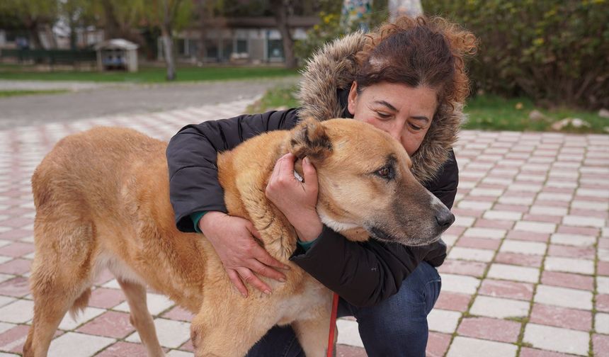 “Koca Oğlan” Sıcak Yuvasına Kavuştu