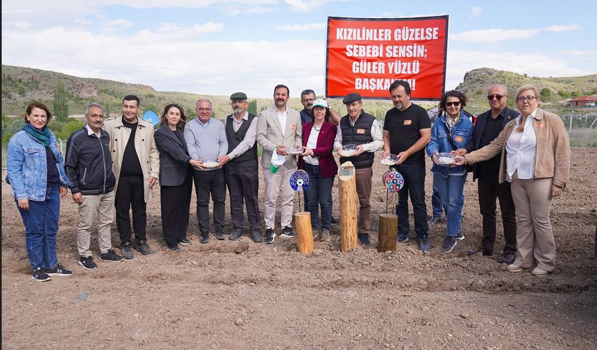 Kızılinler Bal Kabağının Hikayesi Başlıyor