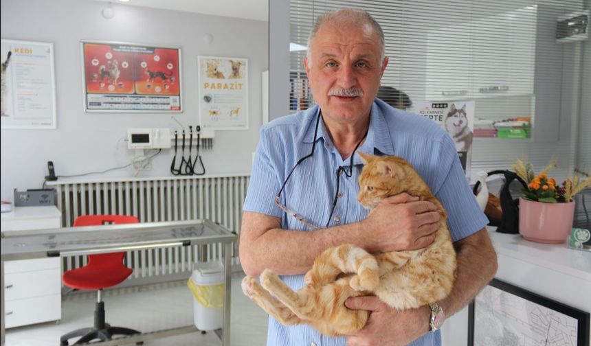 Kedisini veterinere yetiştirmeye çalışırken trafik cezası yedi