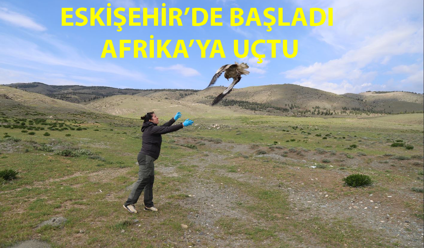 Midas Üçüncü Kez Döndü