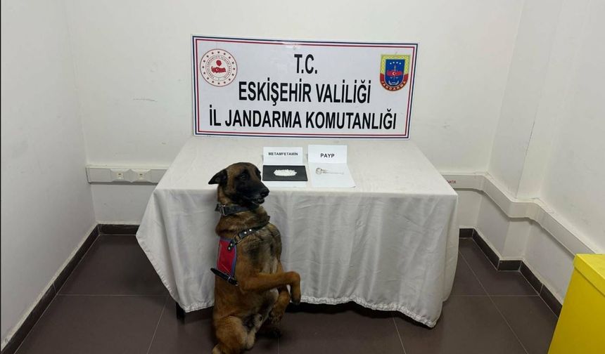 Beyilkova'da uyuşturucu taşıyan şahıs yakalandı