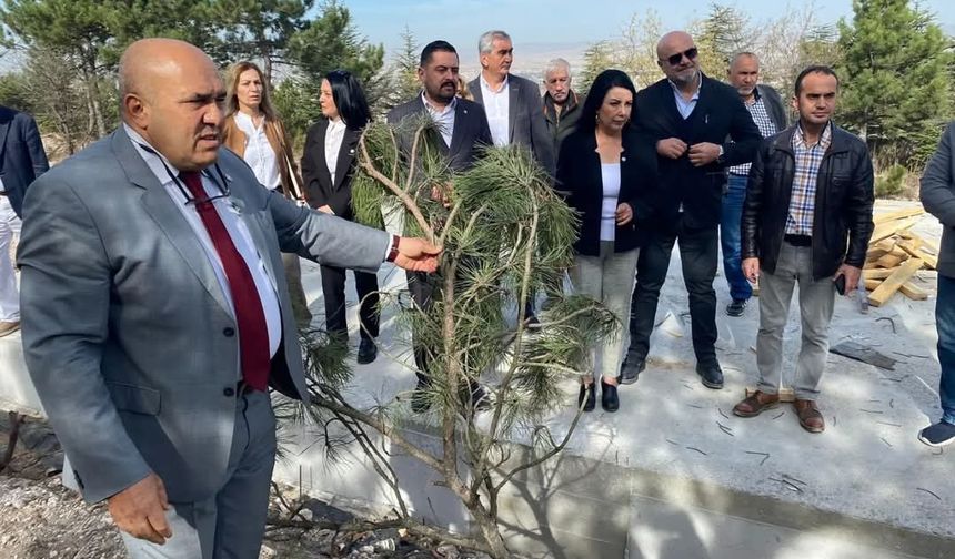 "Bademlik'te binlerce ağaç kesilirken Eskişehir'de değil miydiniz?"