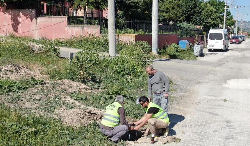İnönü Belediyesi'nden aydınlatma direği yapım çalışmaları