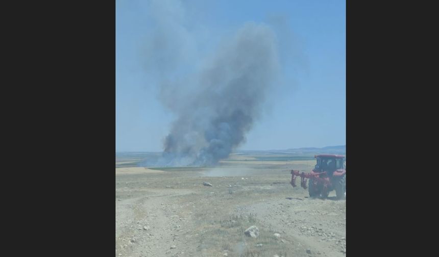 Ekin tarlasında yangın çıktı