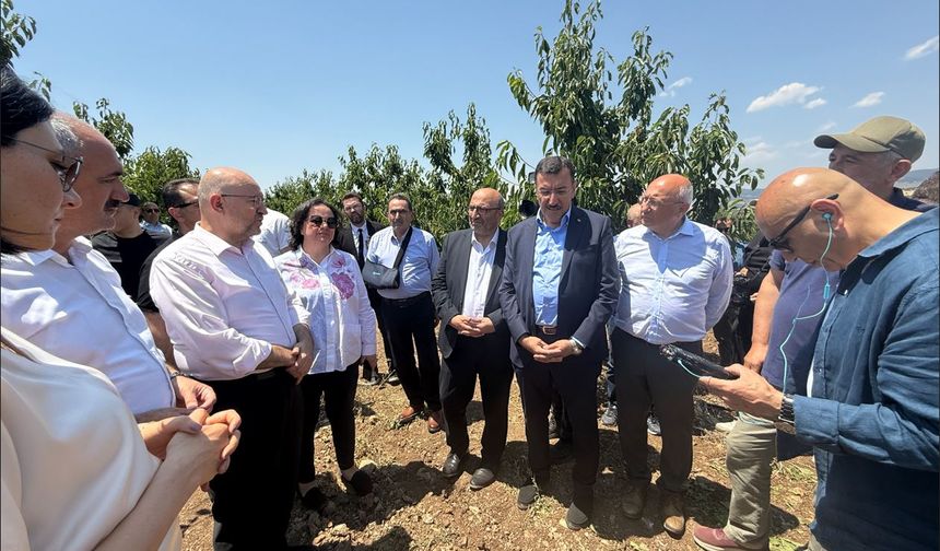 “TARSİM çiftçiyi koruyacak şekilde revize edilmeli”